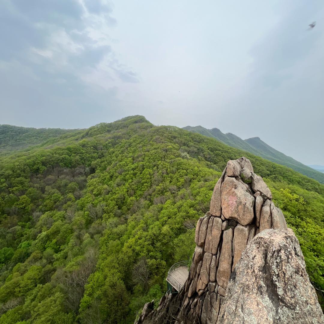 想天天在家睡觉😪