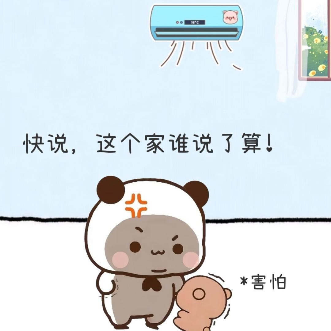 一二宝布布的日常