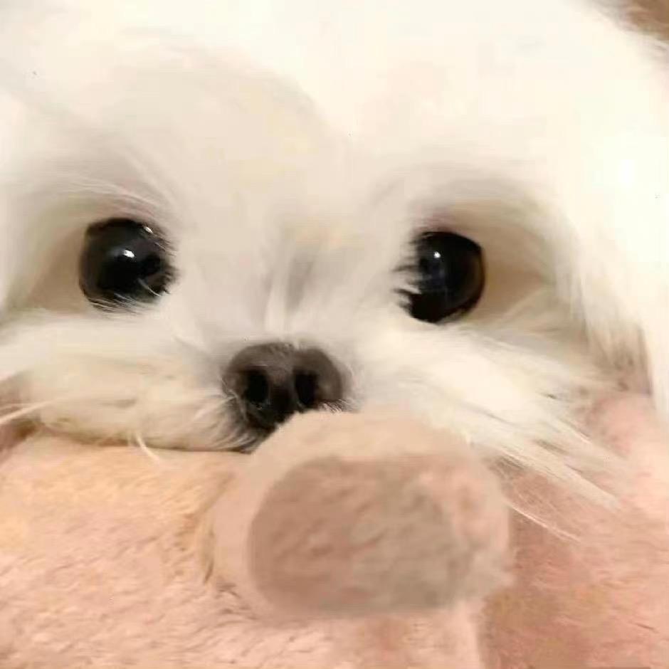 盐盐一点都不饿