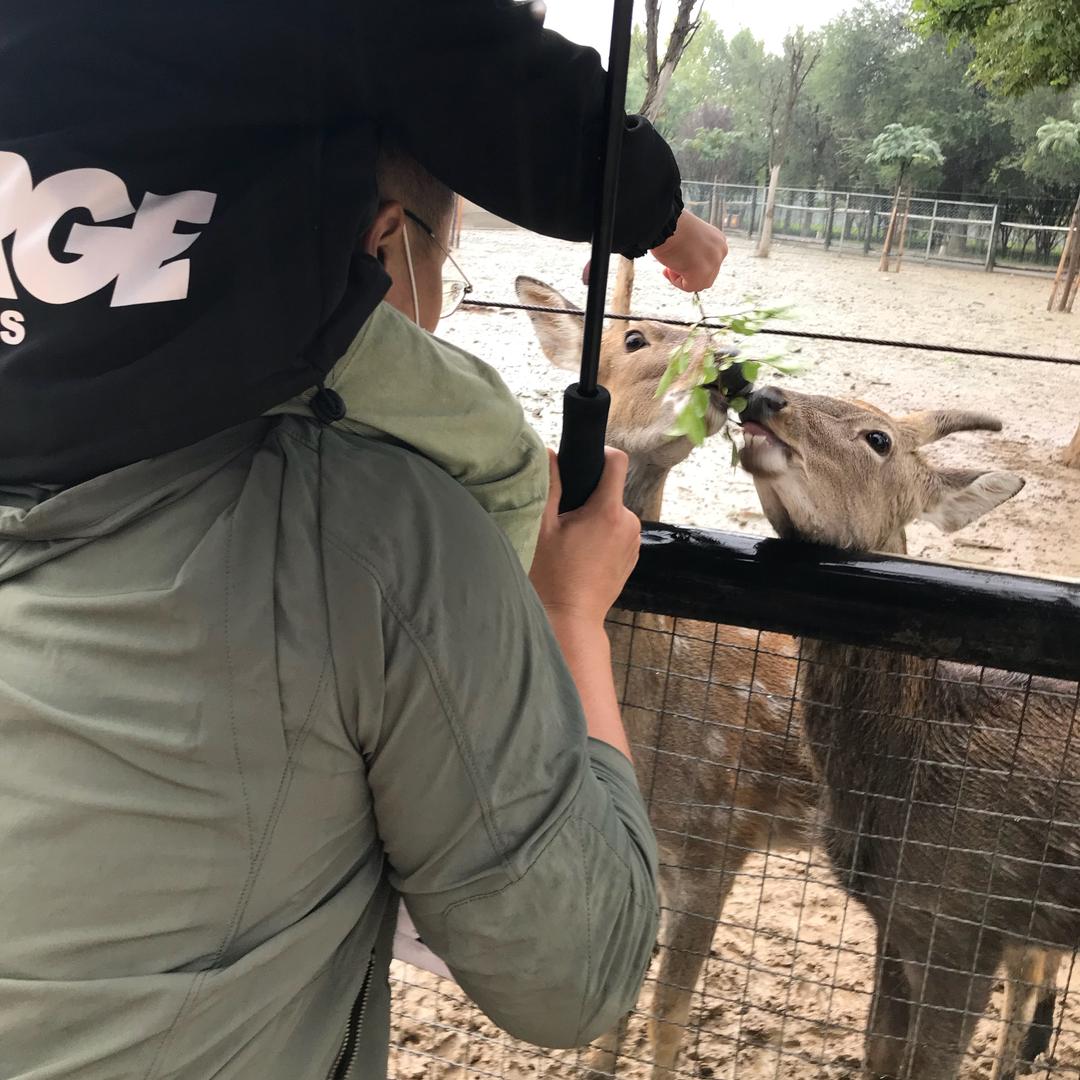 🌈阿宸的妈妈叫阿霞