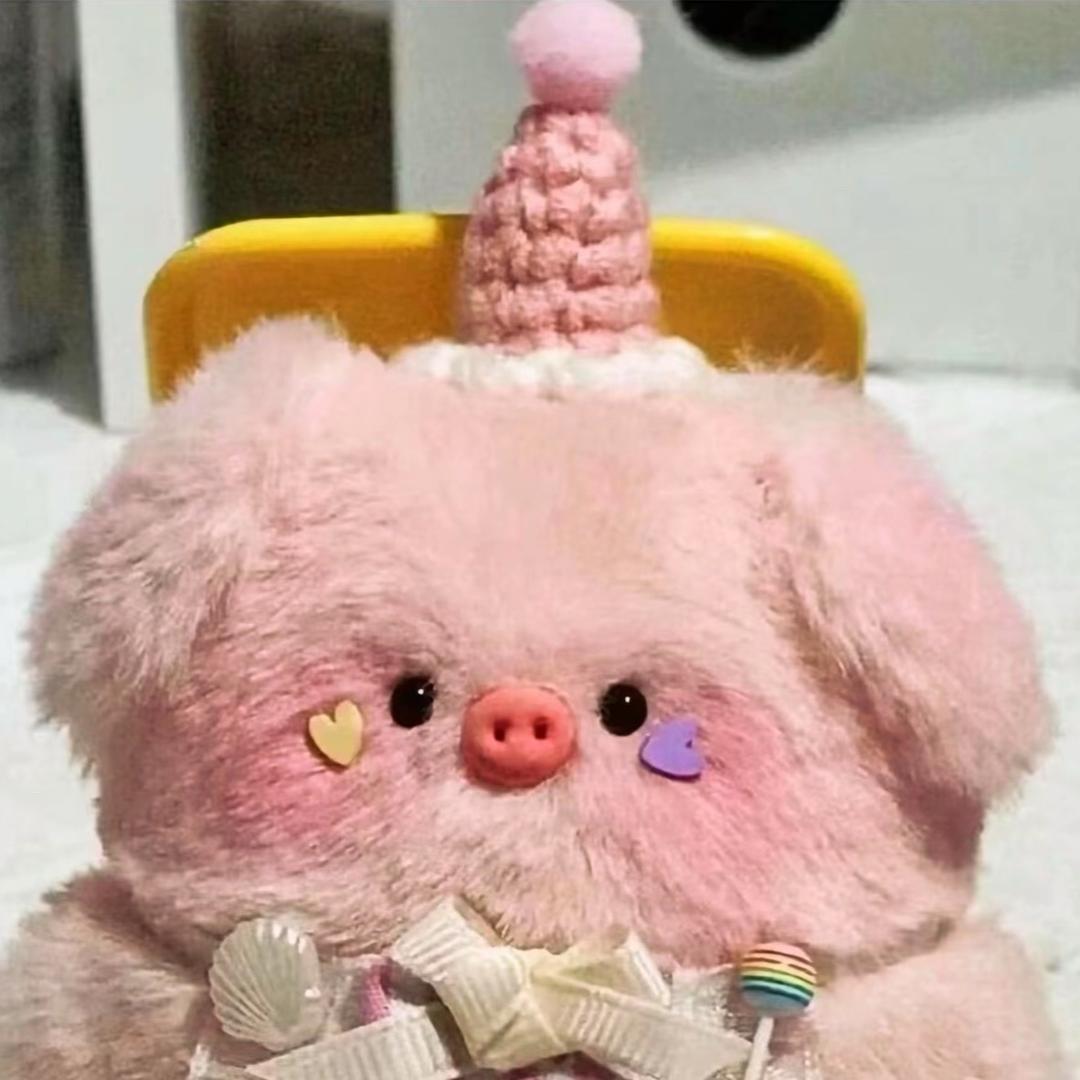 开心小猪🐷