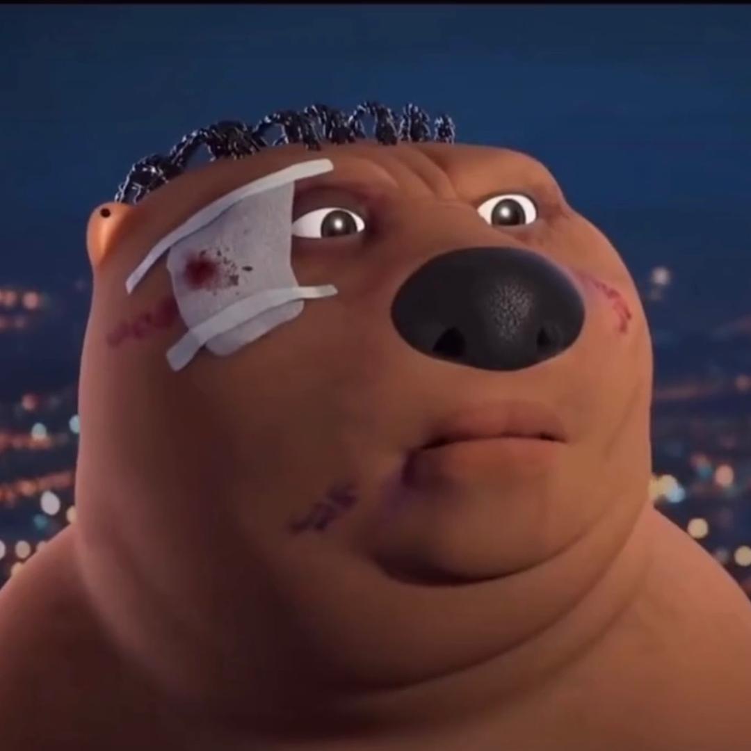 青岛就业指导沈