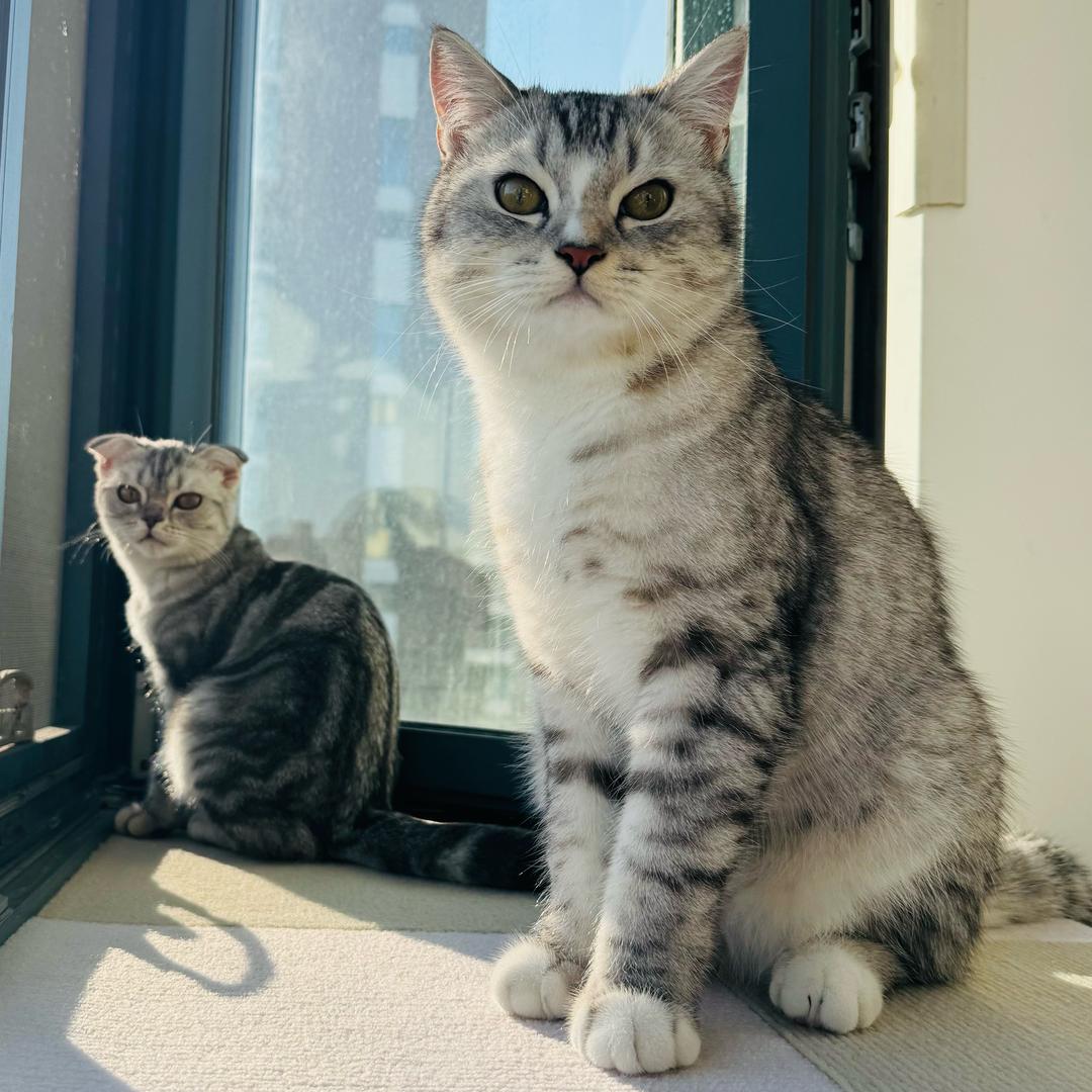 铁柱的快乐生活