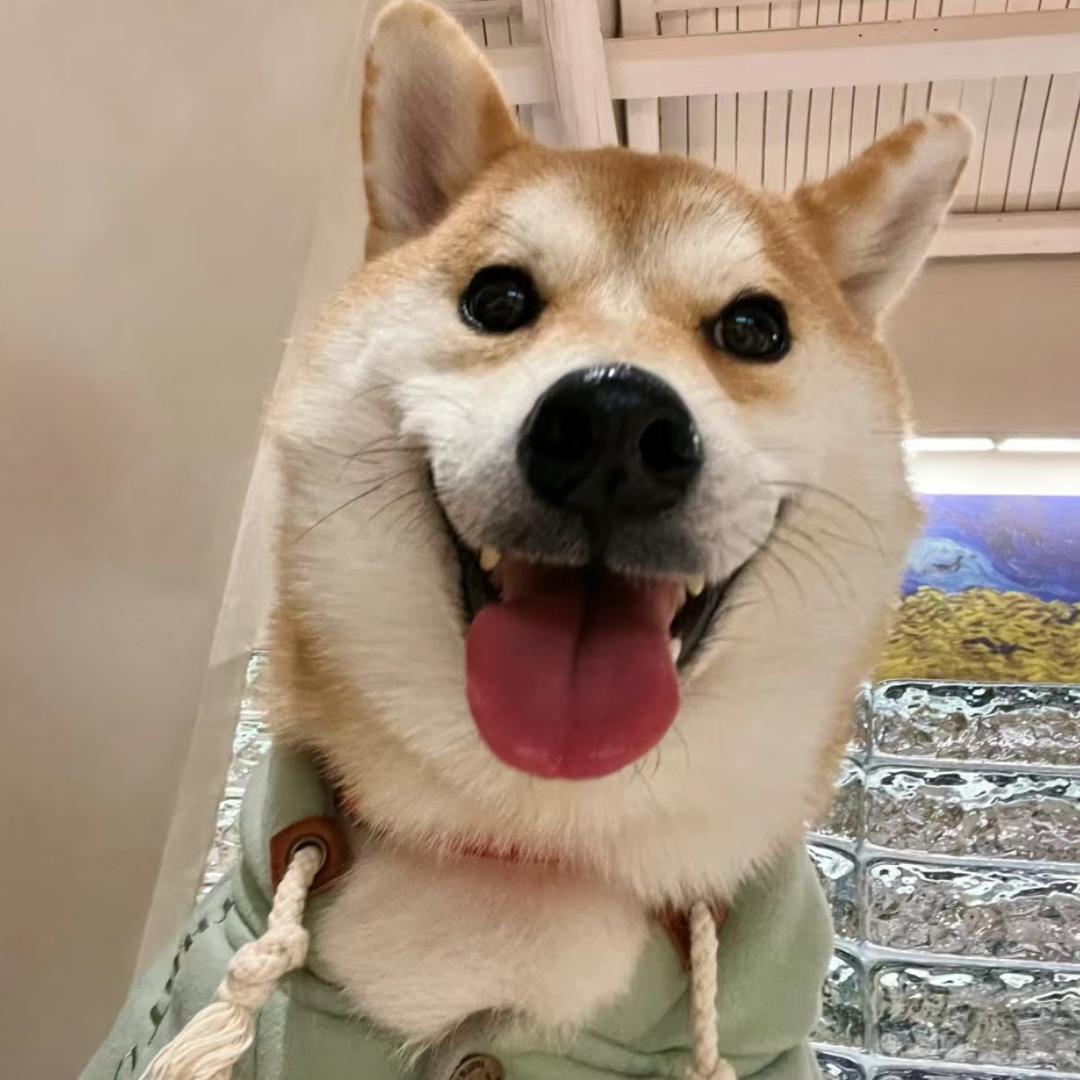 呆呆脑袋没烦恼