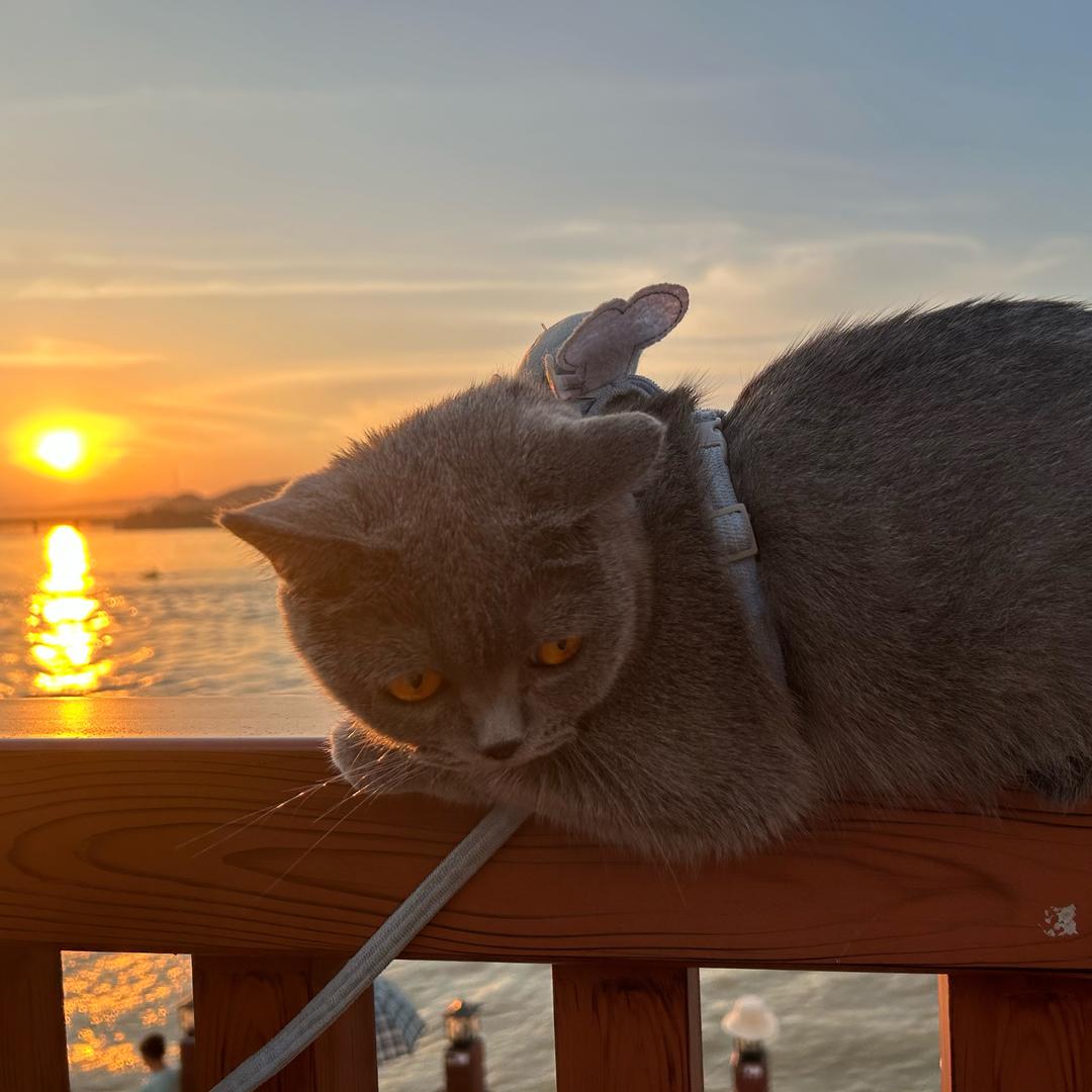 💰⁽⁽ଘ兜有米ଓ⁾