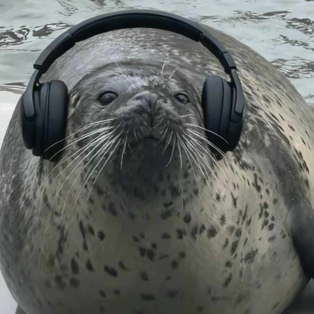 十足肠樂