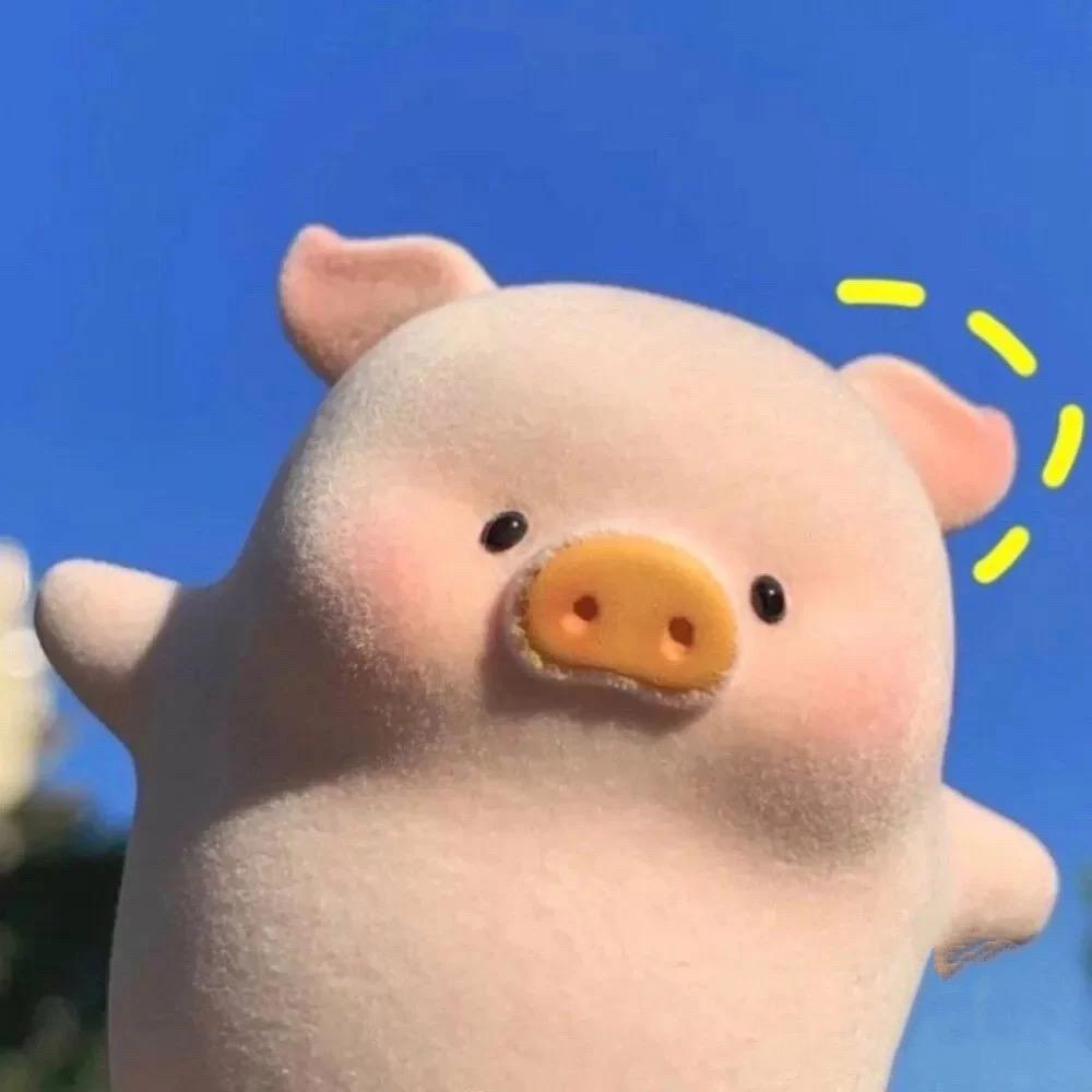 猪猪🐽