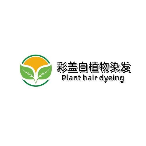 彩盖白植物染发