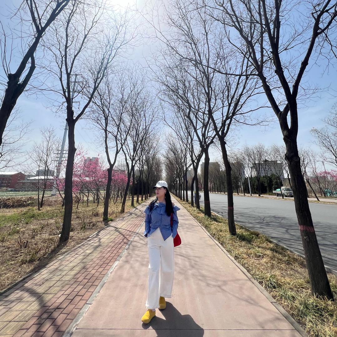 富婆苗子.