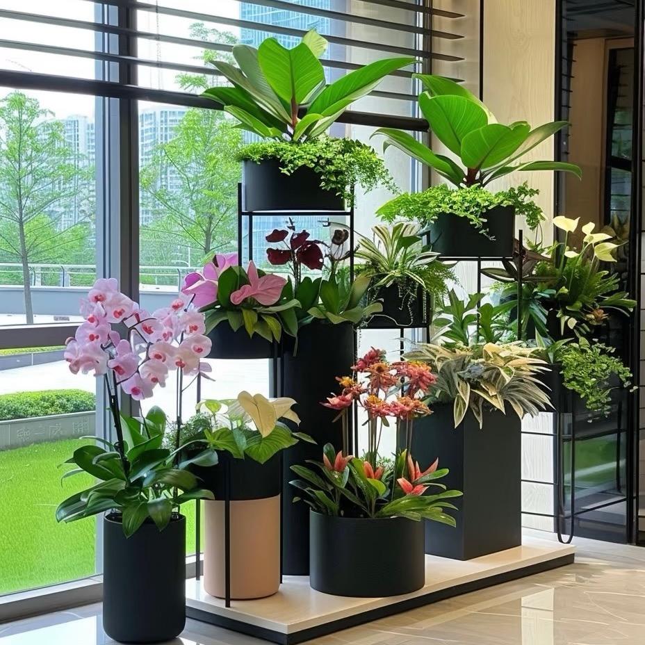 莉莉的花园