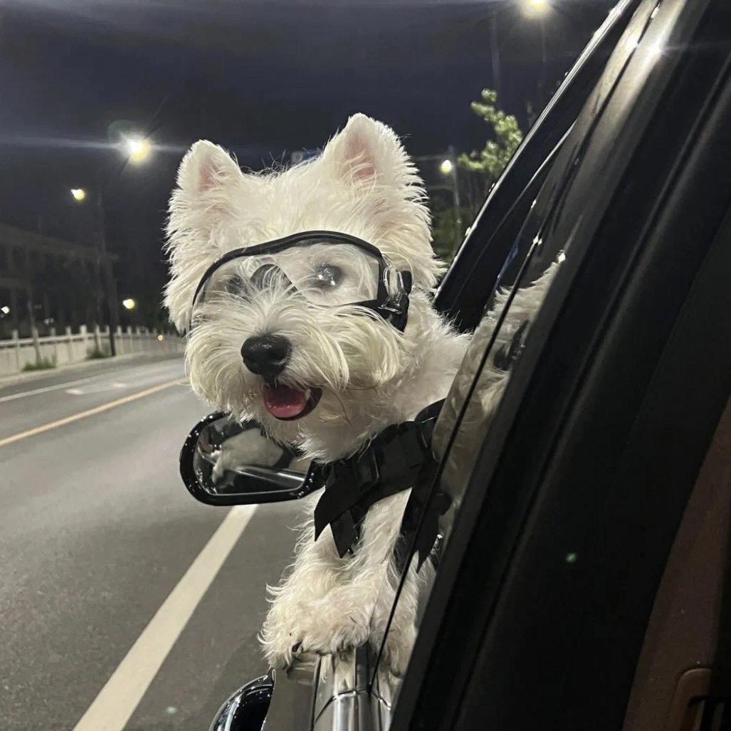 痴念
