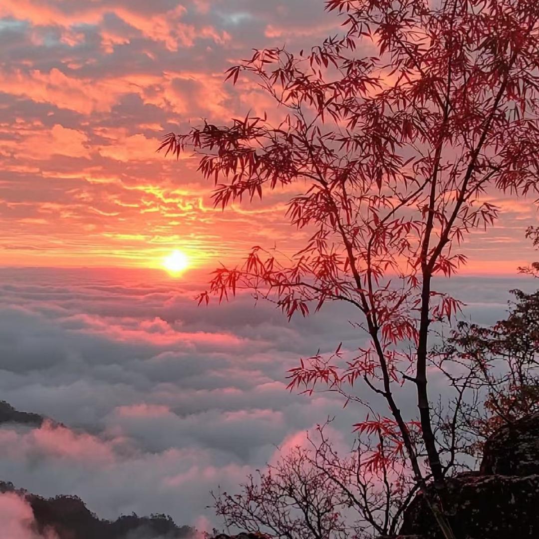 清镇恒来乐生活市集