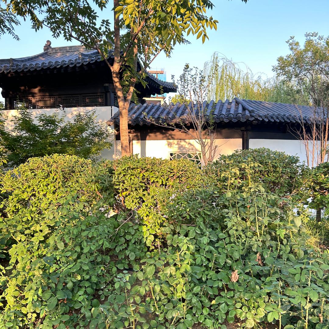 小萌熊