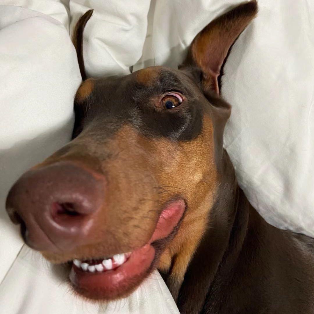 Lee.