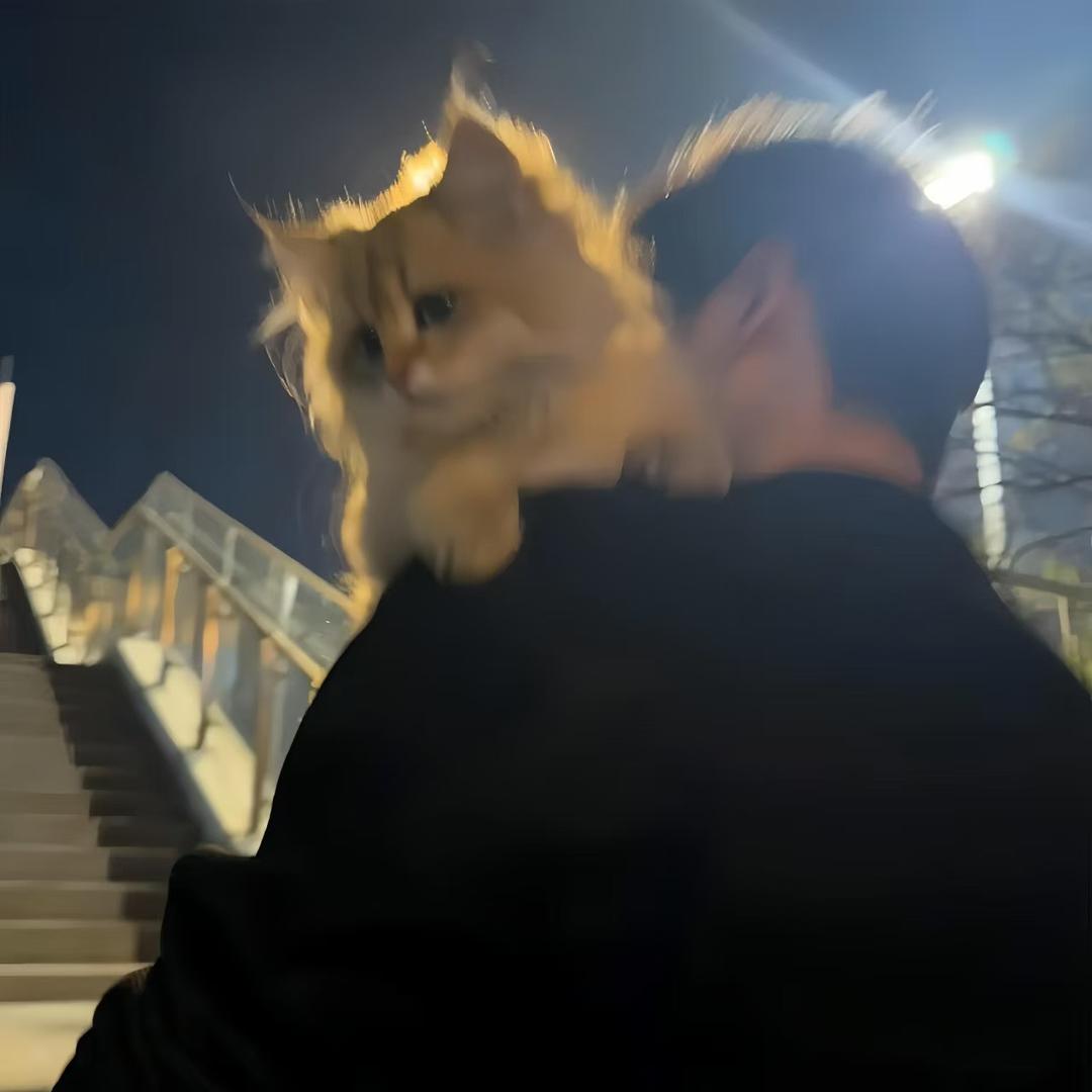 陆歌
