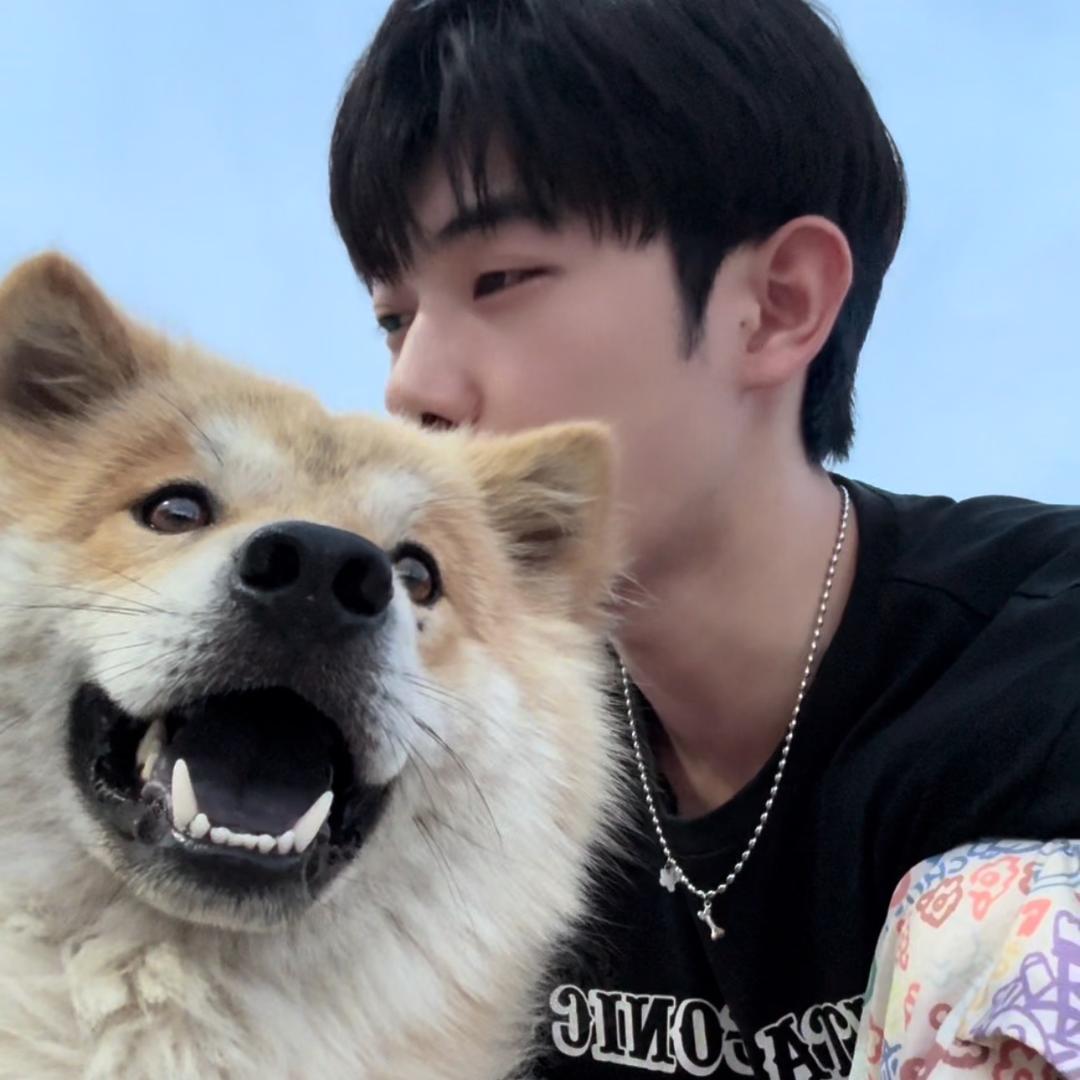 碎嘴华佗（馒头土松犬舍）