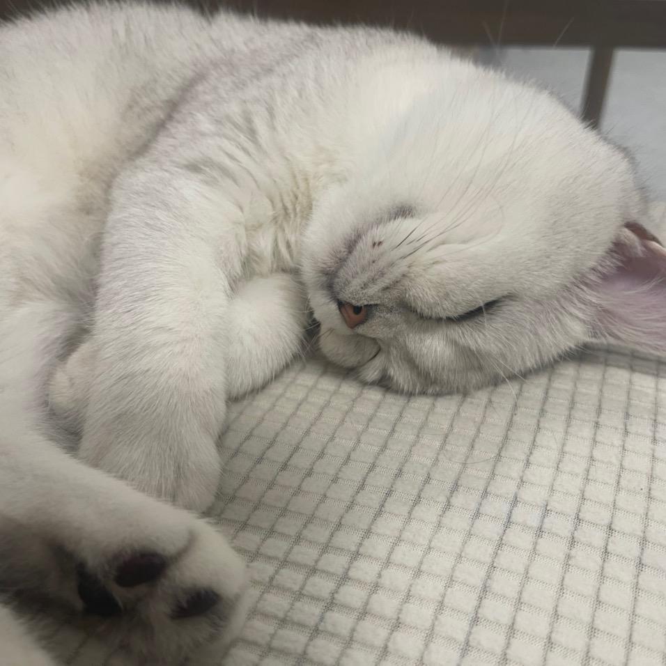 方案库solution base