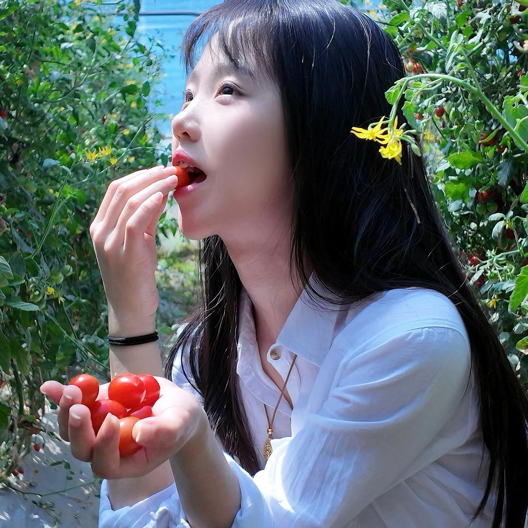 XiaoZhuo