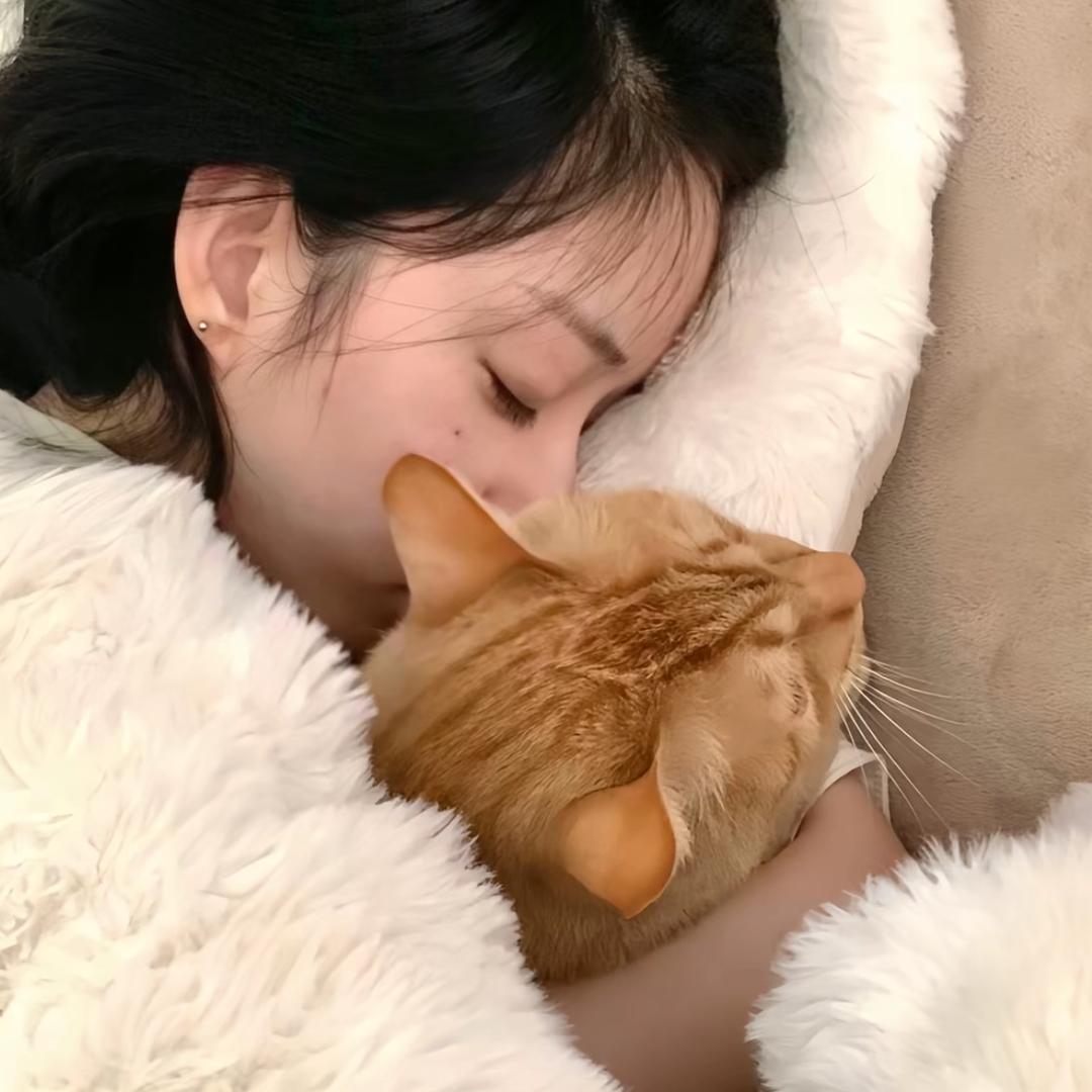 急急国王爱吃洋芋粑