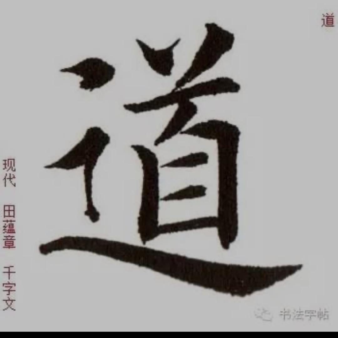 汇森雷击木