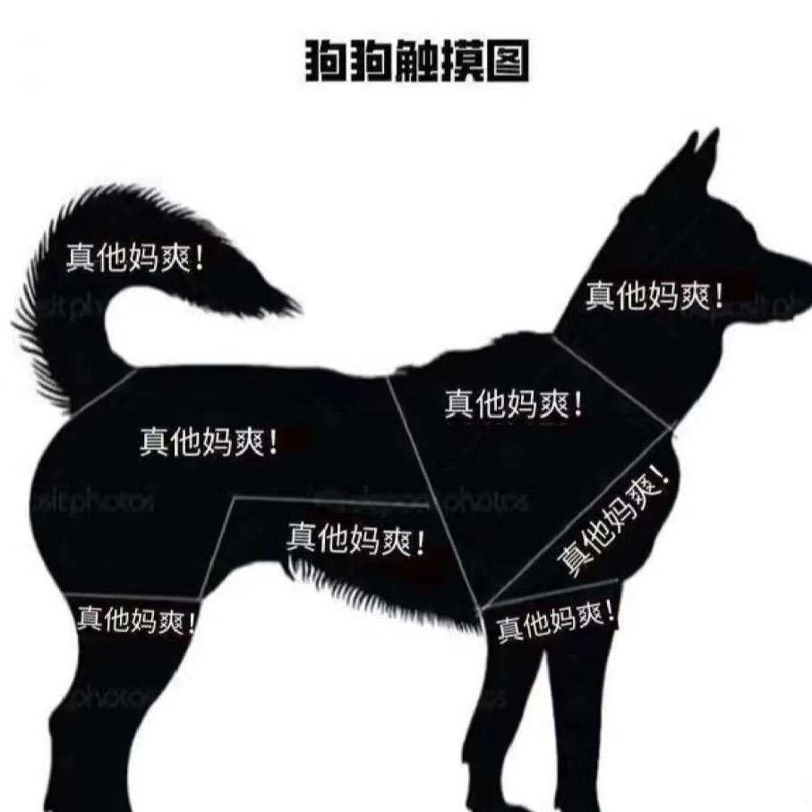 得问一下