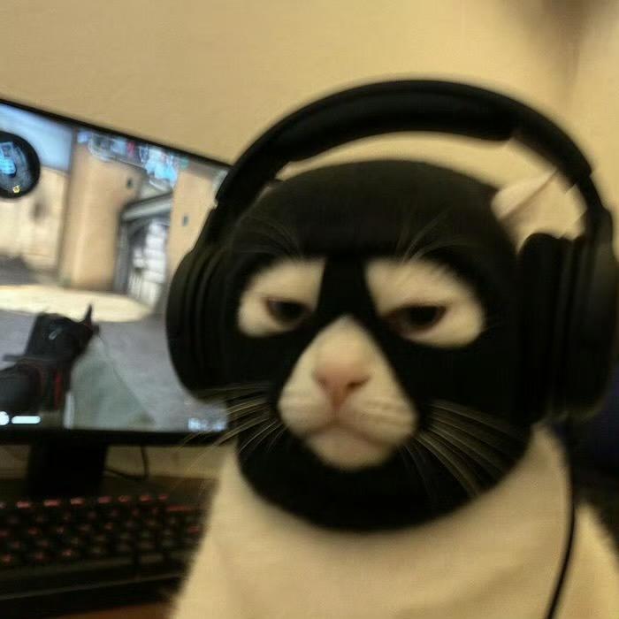 在下毛毛雨🌧️