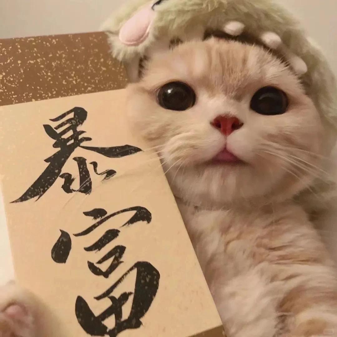 虎哥挺爱吃丶