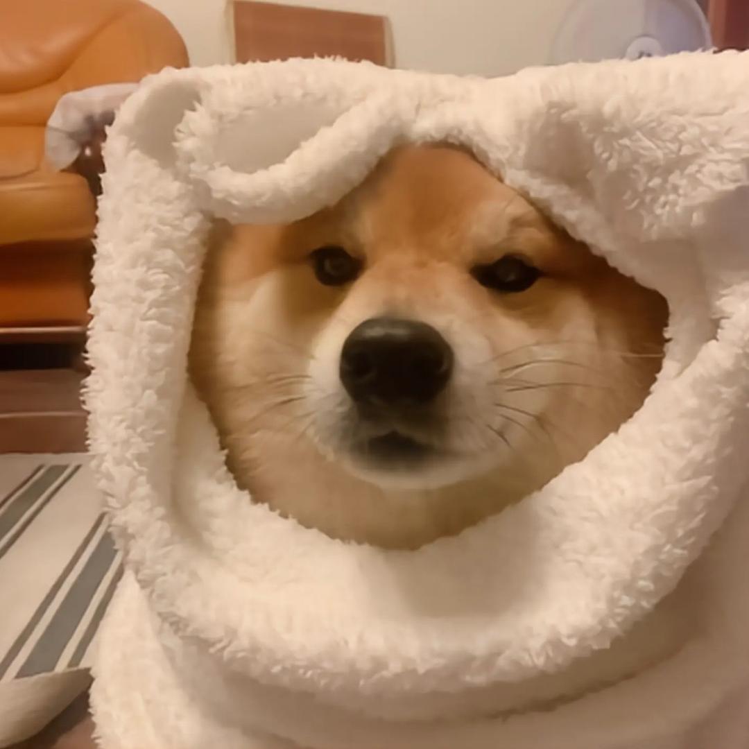 贺宇轩