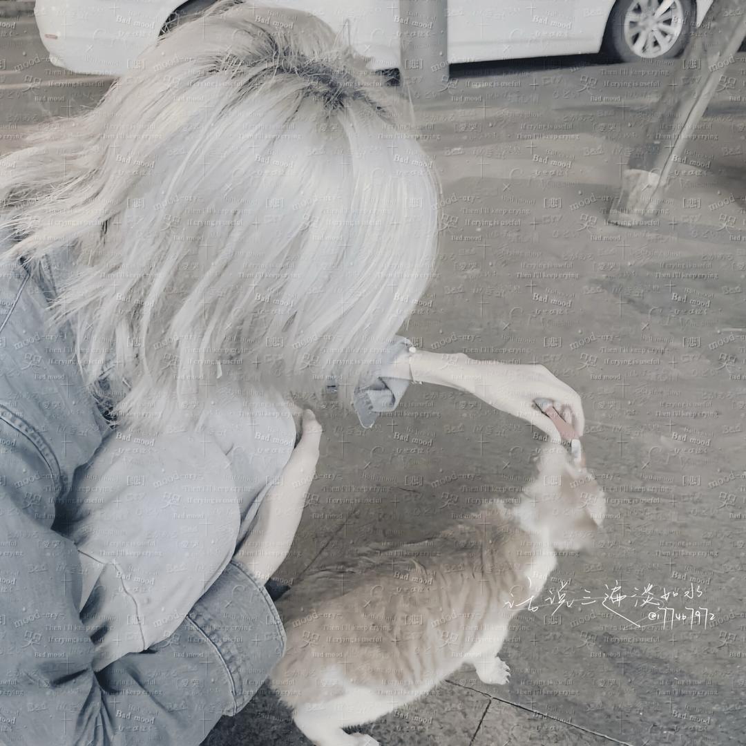 楠y