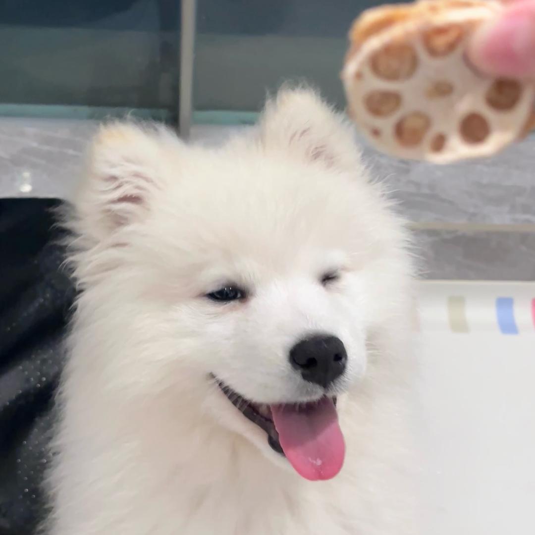 抱走小游