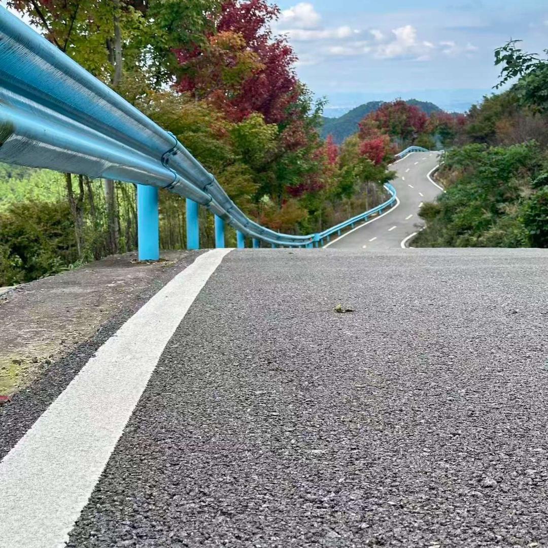 鱼鱼
