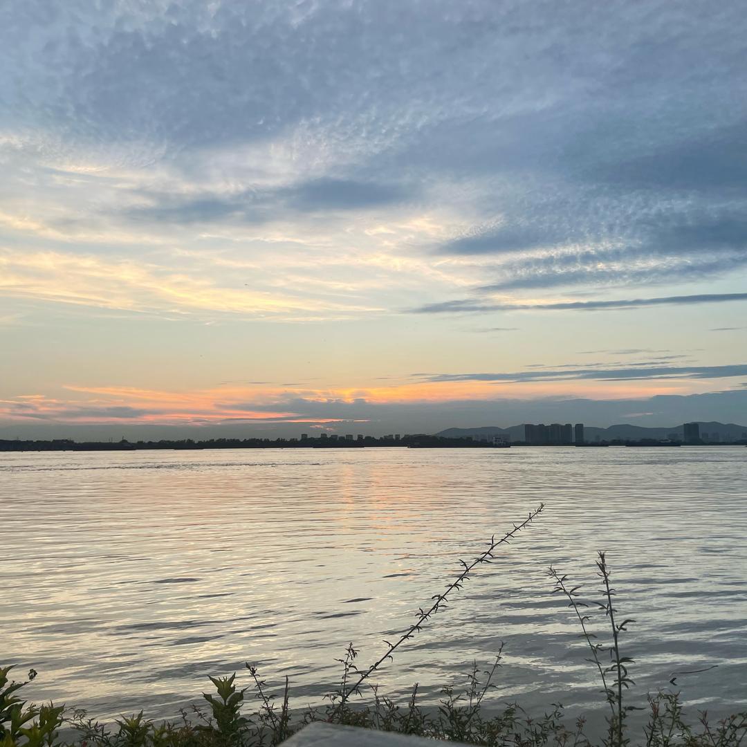 朝花夕拾酒中酒