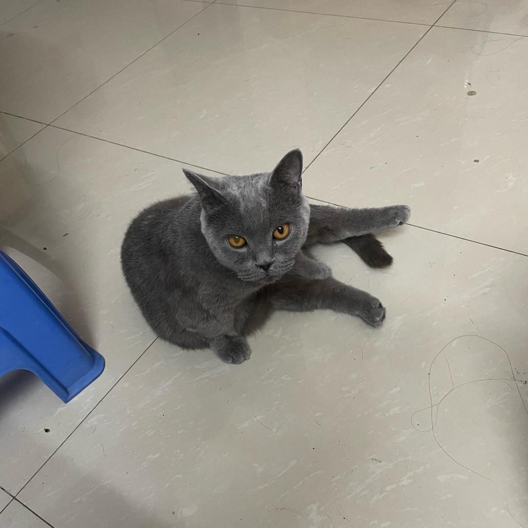 伤不起的
