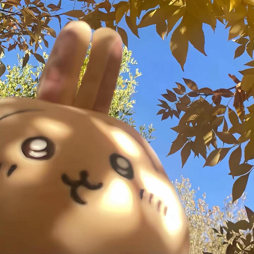涂山云菰🧊