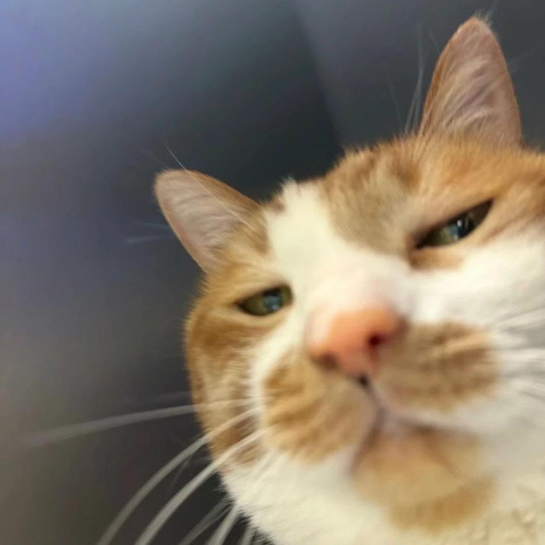 小江又换昵称了