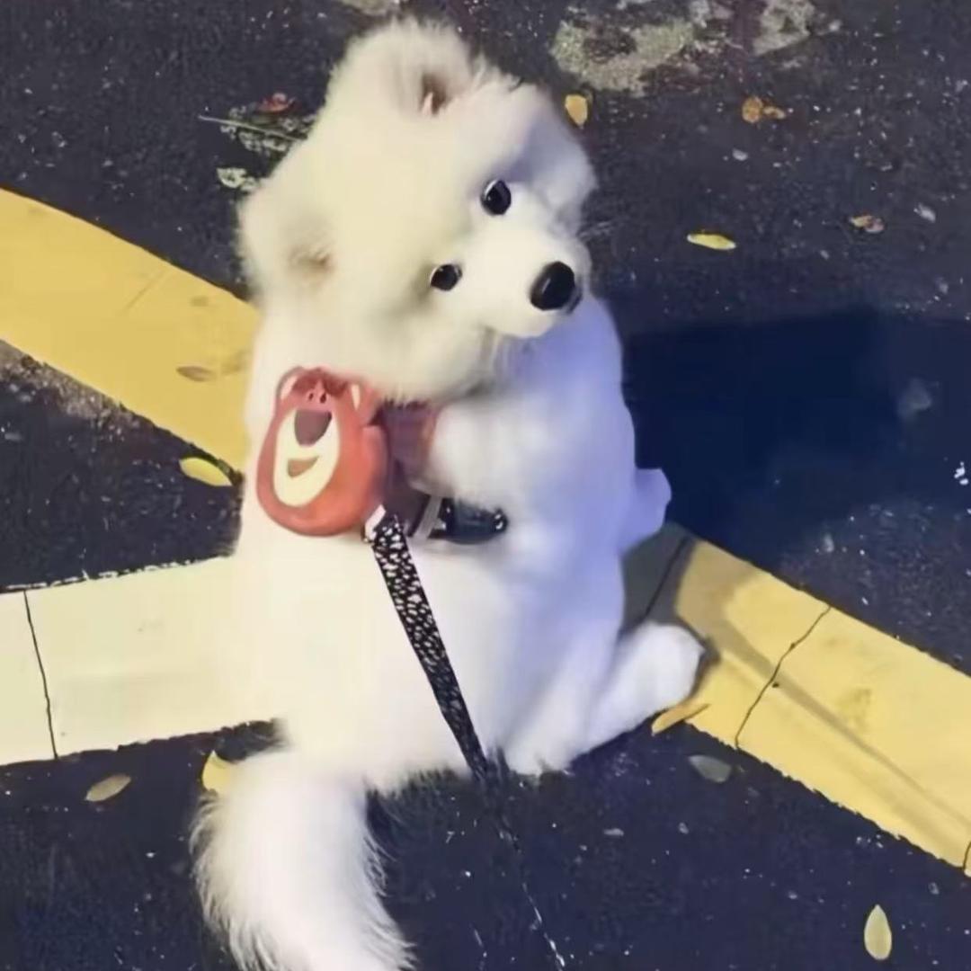 顺风顺水