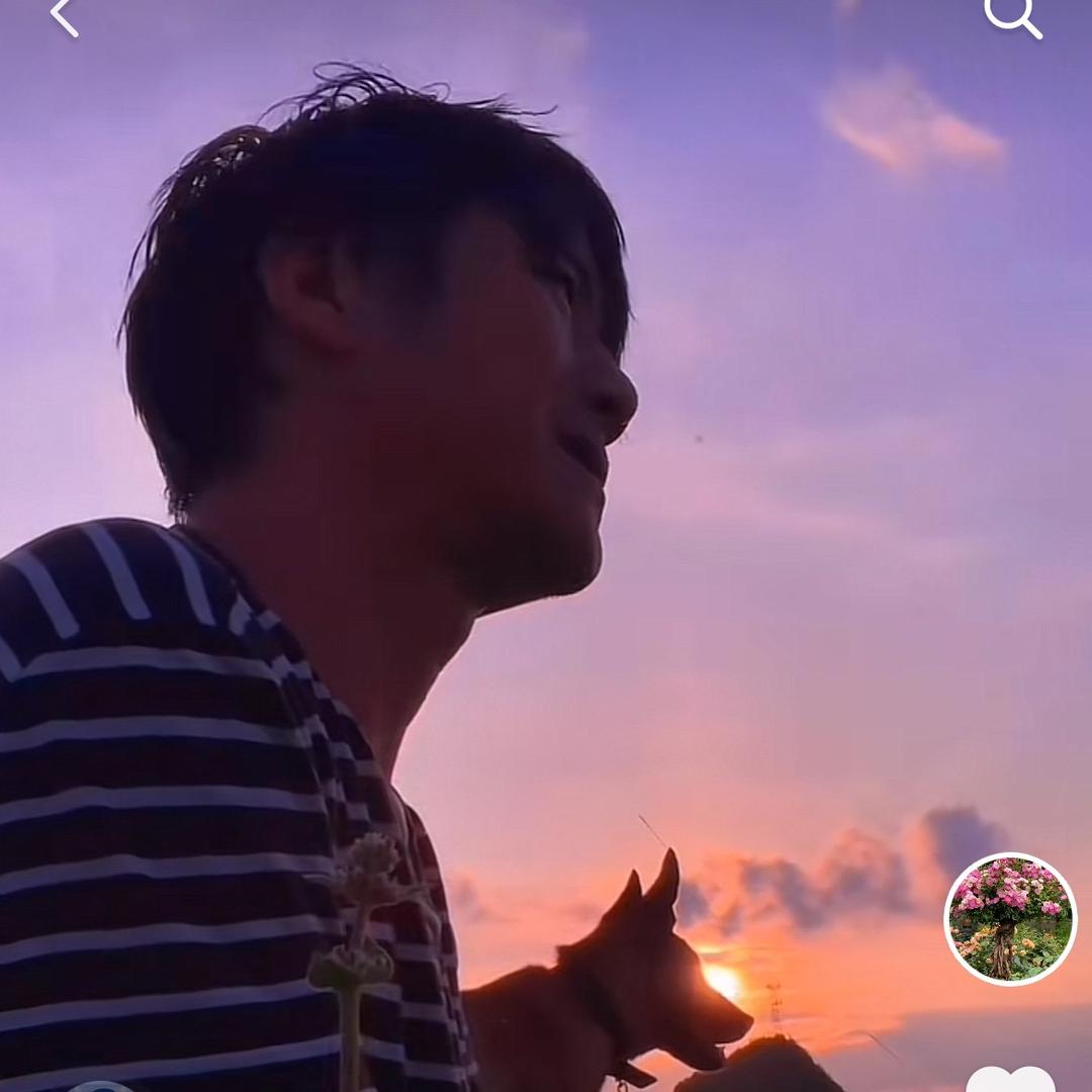 海艺桩型