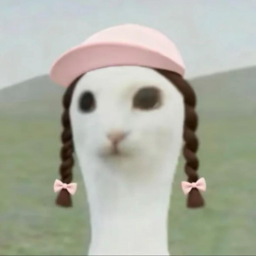 小d花卷
