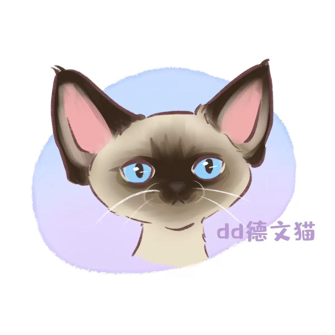 🌈希米德文卷卷
