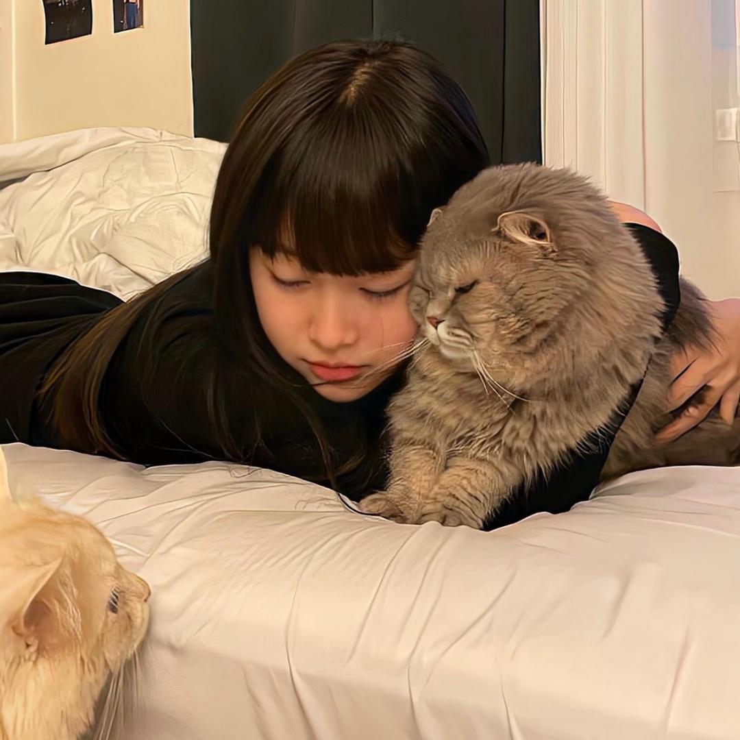 耳净阁可视采耳