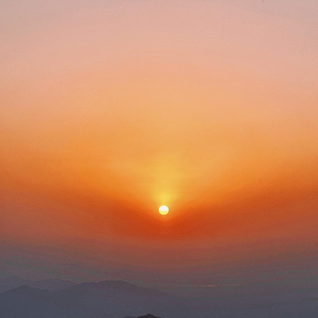 每天都想睡觉觉💤