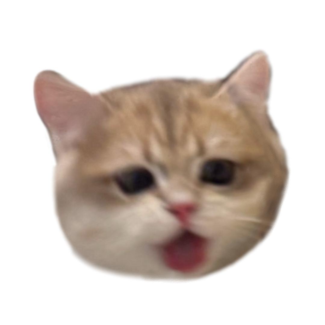 菠萝包