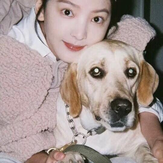 多次婉拒彭于晏