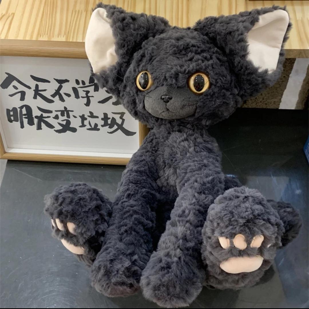 一猫一狗