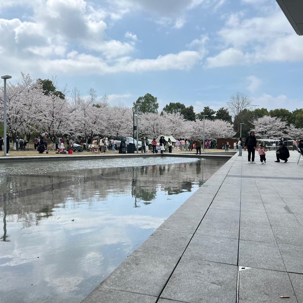 石上花间