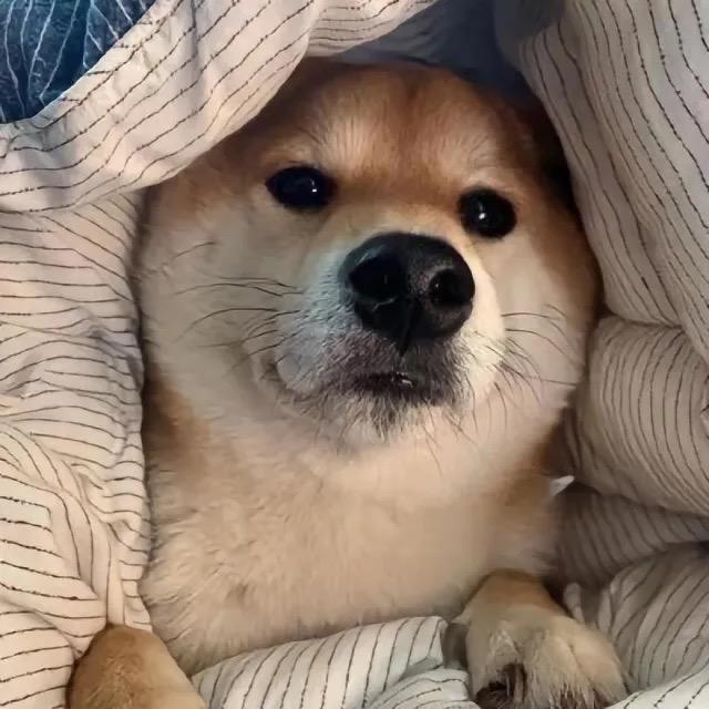 老款男孩