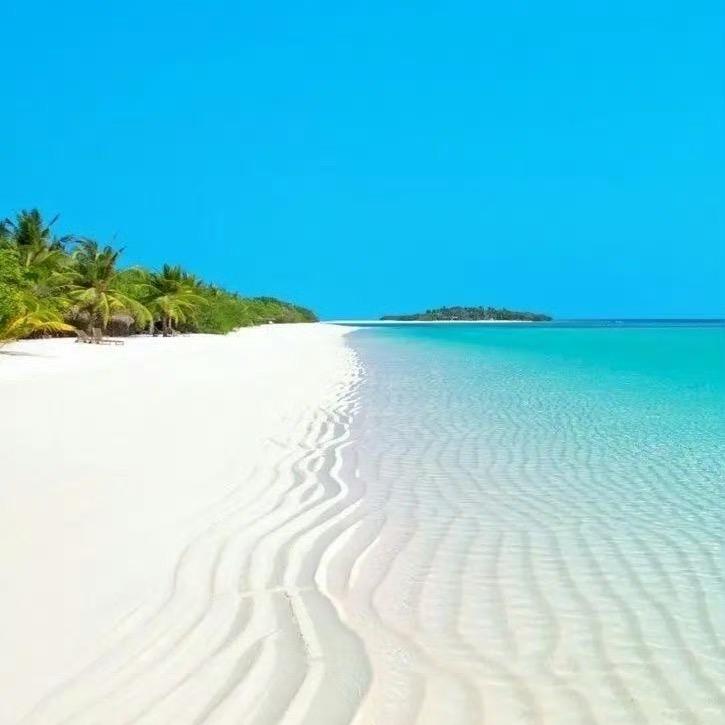 轻素栖花里（官方号）