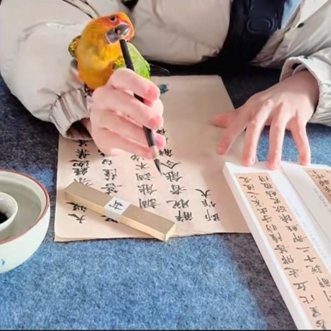 闲云书