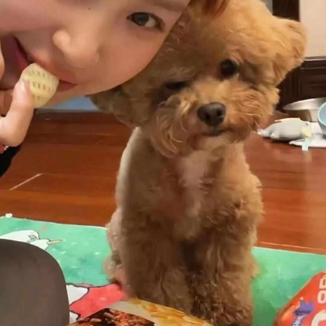 卉逸.