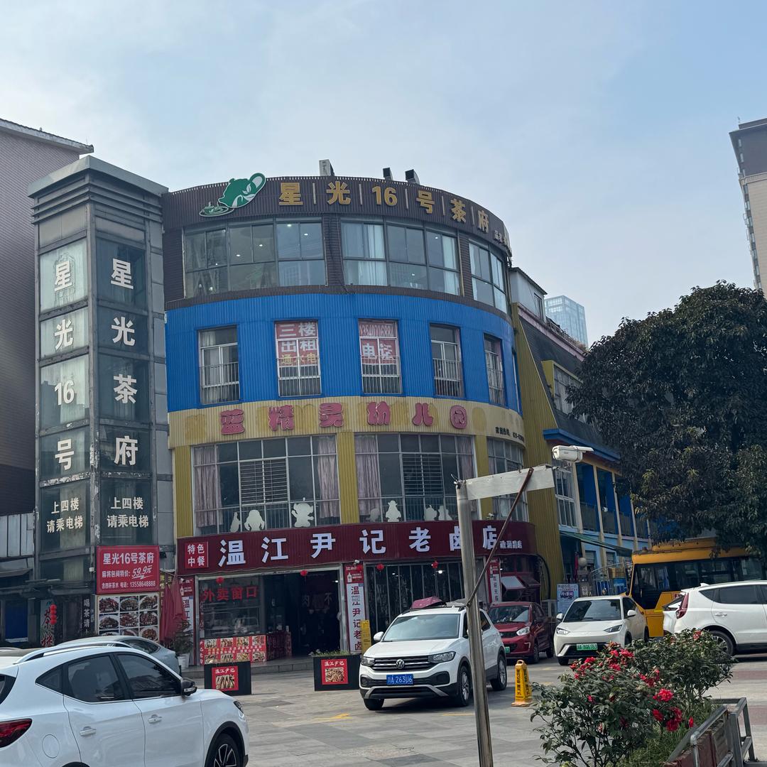 星光16号茶府